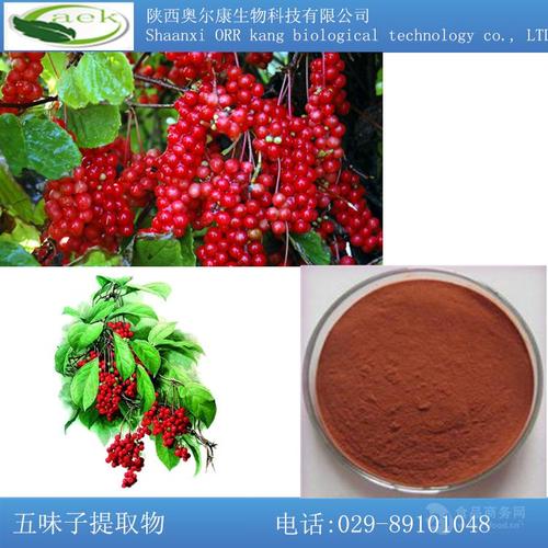 陜西奧爾康生物 工廠現(xiàn)貨熱銷五味子提取物 全國包郵現(xiàn)貨