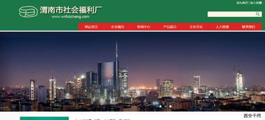 陜西省渭南市社會福利廠官方網(wǎng)站開通運(yùn)行